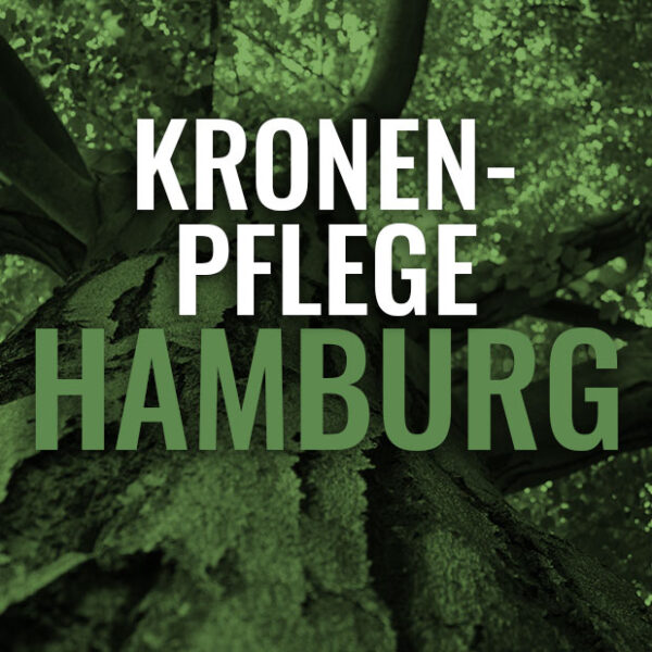 Kronenpflege Kurs Hamburg
