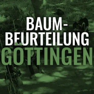 Kurs Baumbeurteilung Göttingen